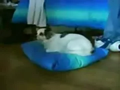 الجنس سكسي اجنابي المشترك