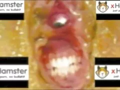 سخيف البرية بلا نهاية فلم سكسي اجنبي كامل